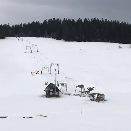 Lilia Schoenwald im Schwarzwald